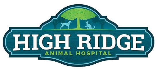 Veterinarians in High Ridge, MO | High Ridge Animal Hospital